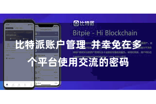 比特派账户管理  并幸免在多个平台使用交流的密码